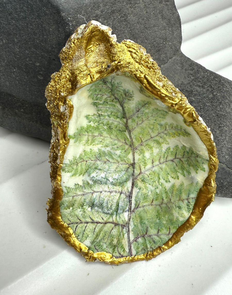 Oyster Shell Jewelry Holders - MARTINIJewels